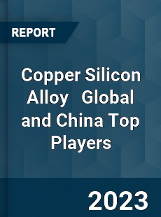 Copper Silicon Alloy Global and China Top Players Market