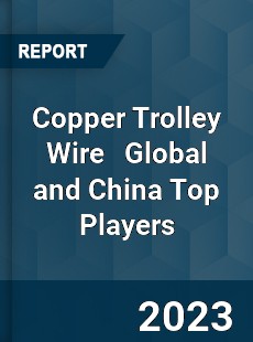 Copper Trolley Wire Global and China Top Players Market