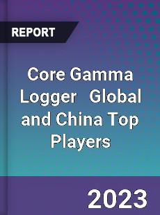 Core Gamma Logger Global and China Top Players Market