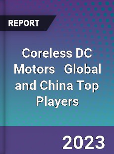 Coreless DC Motors Global and China Top Players Market