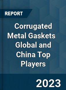 Corrugated Metal Gaskets Global and China Top Players Market