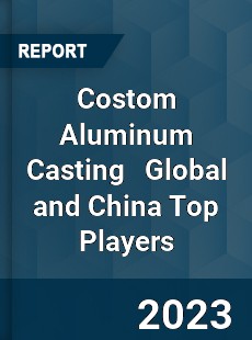 Costom Aluminum Casting Global and China Top Players Market