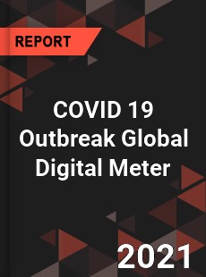 COVID 19 Outbreak Global Digital Meter Industry