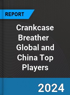 Crankcase Breather Global and China Top Players Market