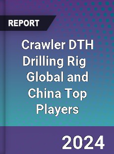 Crawler DTH Drilling Rig Global and China Top Players Market