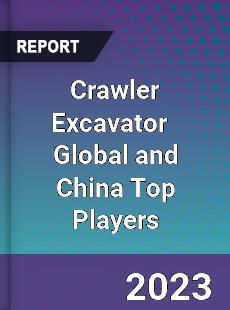 Crawler Excavator Global and China Top Players Market