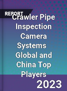 Crawler Pipe Inspection Camera Systems Global and China Top Players Market