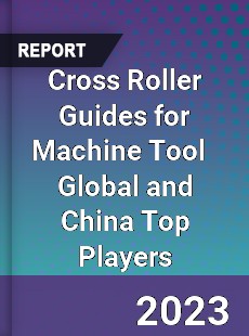 Cross Roller Guides for Machine Tool Global and China Top Players Market