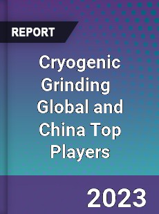 Cryogenic Grinding Global and China Top Players Market