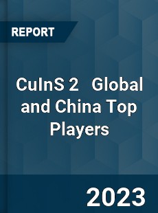 CuInS 2 Global and China Top Players Market