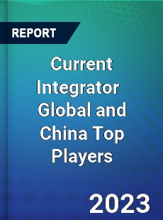 Current Integrator Global and China Top Players Market