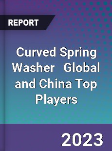 Curved Spring Washer Global and China Top Players Market