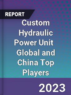 Custom Hydraulic Power Unit Global and China Top Players Market