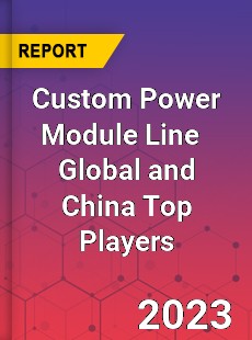 Custom Power Module Line Global and China Top Players Market