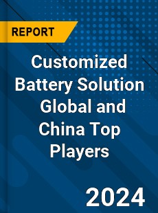 Customized Battery Solution Global and China Top Players Market