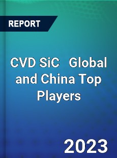 CVD SiC Global and China Top Players Market