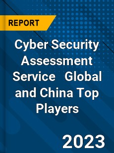 Cyber Security Assessment Service Global and China Top Players Market