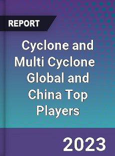 Cyclone and Multi Cyclone Global and China Top Players Market