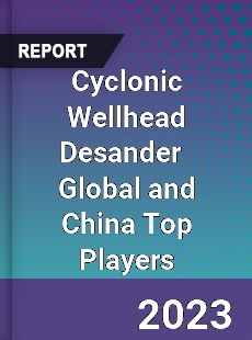 Cyclonic Wellhead Desander Global and China Top Players Market