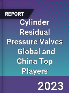 Cylinder Residual Pressure Valves Global and China Top Players Market