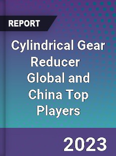 Cylindrical Gear Reducer Global and China Top Players Market