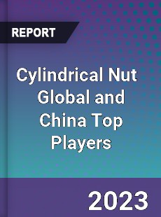 Cylindrical Nut Global and China Top Players Market