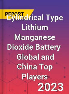 Cylindrical Type Lithium Manganese Dioxide Battery Global and China Top Players Market