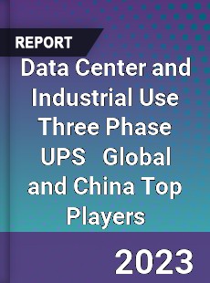 Data Center and Industrial Use Three Phase UPS Global and China Top Players Market