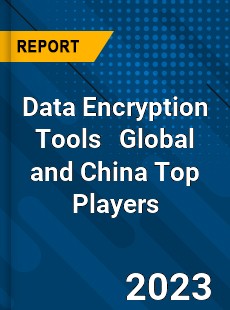 Data Encryption Tools Global and China Top Players Market