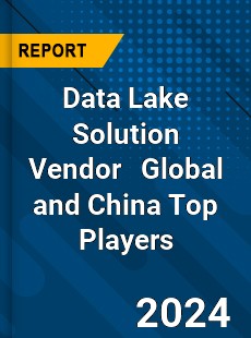 Data Lake Solution Vendor Global and China Top Players Market