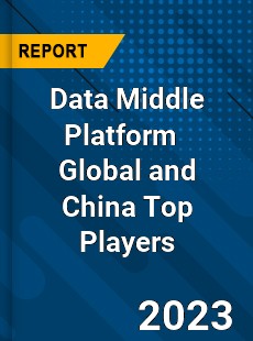 Data Middle Platform Global and China Top Players Market