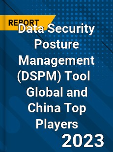 Data Security Posture Management Tool Global and China Top Players Market