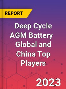 Deep Cycle AGM Battery Global and China Top Players Market