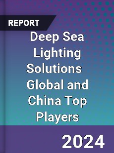 Deep Sea Lighting Solutions Global and China Top Players Market