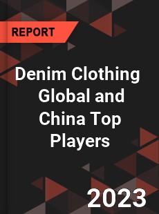 Denim Clothing Global and China Top Players Market