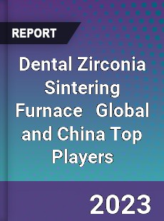 Dental Zirconia Sintering Furnace Global and China Top Players Market