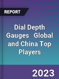 Dial Depth Gauges Global and China Top Players Market