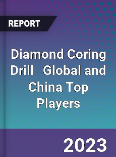 Diamond Coring Drill Global and China Top Players Market