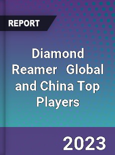 Diamond Reamer Global and China Top Players Market