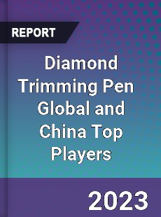 Diamond Trimming Pen Global and China Top Players Market