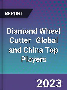 Diamond Wheel Cutter Global and China Top Players Market