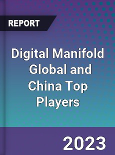 Digital Manifold Global and China Top Players Market