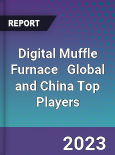 Digital Muffle Furnace Global and China Top Players Market