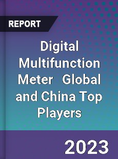 Digital Multifunction Meter Global and China Top Players Market