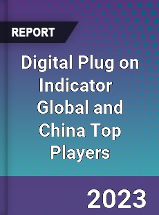 Digital Plug on Indicator Global and China Top Players Market