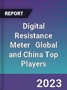 Digital Resistance Meter Global and China Top Players Market