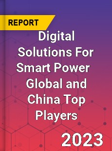 Digital Solutions For Smart Power Global and China Top Players Market