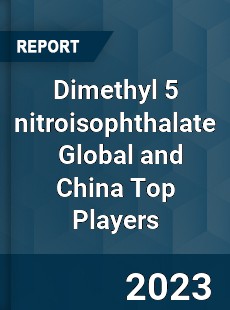 Dimethyl 5 nitroisophthalate Global and China Top Players Market