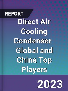 Direct Air Cooling Condenser Global and China Top Players Market
