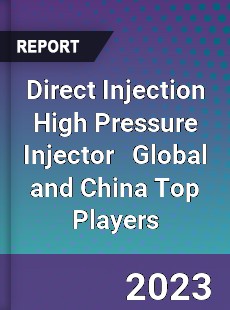 Direct Injection High Pressure Injector Global and China Top Players Market